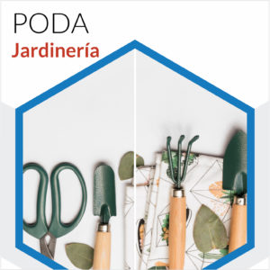 Poda - Jardinería